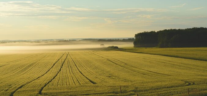 Европскиот парламент ја одобри Програмата на ЕУ за субвенционирање на земјоделството