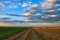 Зајакнување на свеста за климатските промени во земјоделското производство