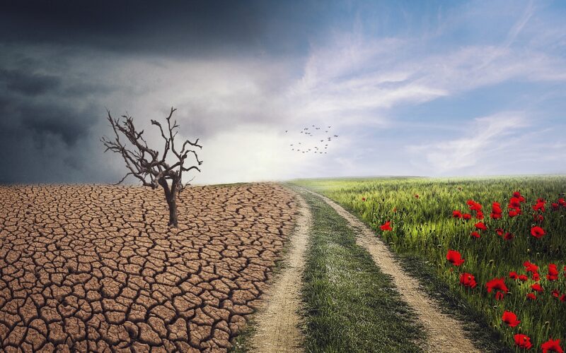 Решенија засновани врз природата – акции за спречување на климатските промени во С. Македонија