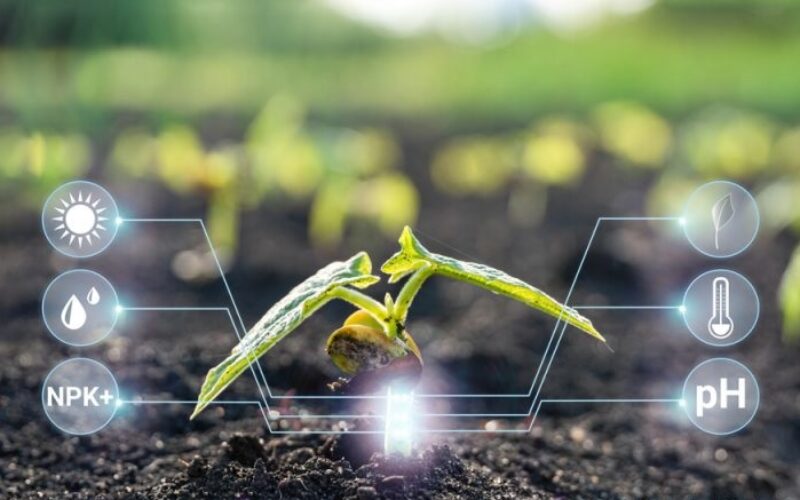 Како преку прецизни податоци во технологијата на земјоделско производство да се постигне одржливост