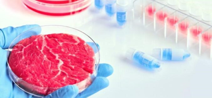Комисијата додели 2 милиони евра грант од ЕУ фондовите за производство на синтетичко месо