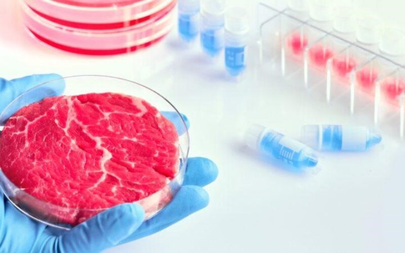 Комисијата додели 2 милиони евра грант од ЕУ фондовите за производство на синтетичко месо