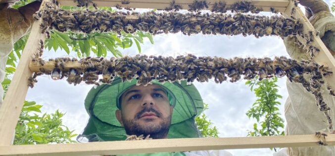 Млад ентузијаст, посветен заштитник на природата и пчелите: Опасноста од изумирање на пчелите е реална!