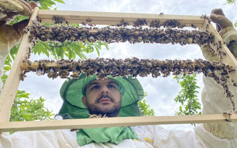 Млад ентузијаст, посветен заштитник на природата и пчелите: Опасноста од изумирање на пчелите е реална!