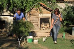 Успешен агробизнис во околината на Скопје, Наша Фарма – Семејна фарма со многу љубов