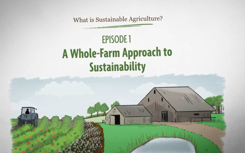 (Видео) Многупати е пишувано и зборувано за тоа – но дали точно знаеме што е одржливо земјоделство?