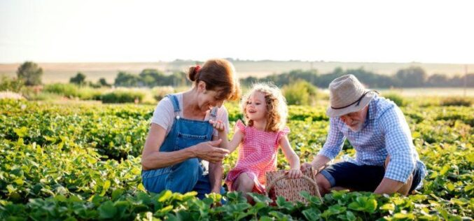 Протоколите за одржливост клучна алатка за охрабрување на следната генерација земјоделци