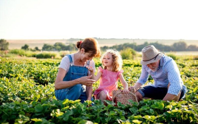 Протоколите за одржливост клучна алатка за охрабрување на следната генерација земјоделци