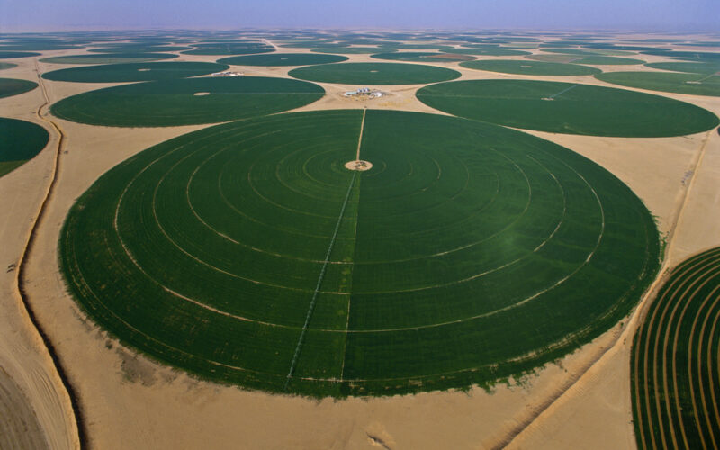 (Видео) Како Саудиска Арабија ја претвора пустината во огромни земјоделски површини