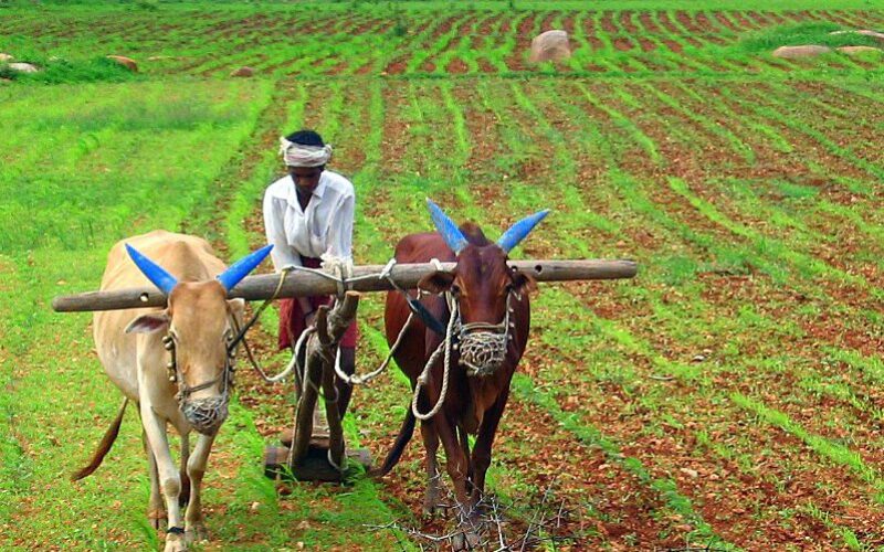 (Видео) 10 најдобри агритехнолошки стартапи кои го подобруваат статусот на индиските земјоделци