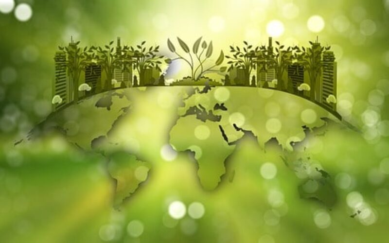 СКЕЕОР: Пронаоѓање на решенија од областа на одржливоста на животната средина и енергетската ефикасност