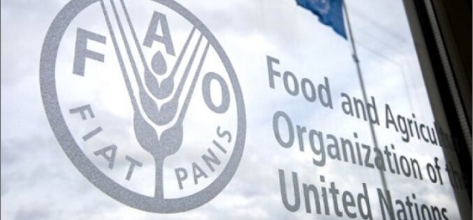 ФАО: Цените на храната на светските берзи на највисоко ниво во последните 10 години