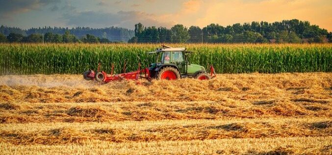 Индекс на цени во земјоделството: Зголемување во инпутот за 13.1%, а во аутпутот за 3.4%