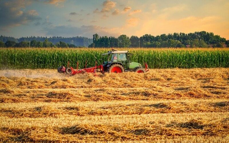 Индекс на цени во земјоделството: Зголемување во инпутот за 13.1%, а во аутпутот за 3.4%
