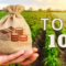Топ 10 успешни приказни – За кои 10 агробизниси имаше најголем интерес на Моја Фарма во 2021