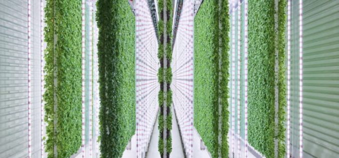 „Волмарт“ ќе инвестира во вертикално земјоделство