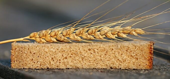 Државата има доволно пченка и пченица уверуваат од Министерството за земјоделство