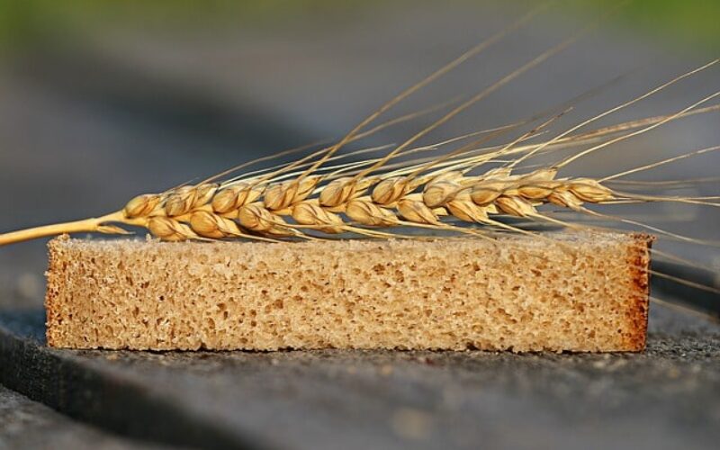 Државата има доволно пченка и пченица уверуваат од Министерството за земјоделство
