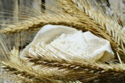 Малишиќ: Ќе обезбедат доволни количини на пченица и брашно за потребите на граѓаните