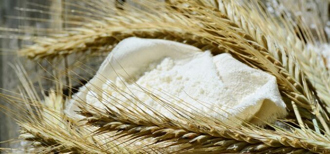 Малишиќ: Ќе обезбедат доволни количини на пченица и брашно за потребите на граѓаните