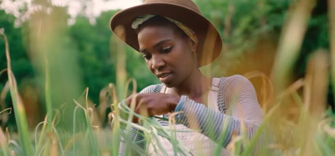 (Видео) Инспиративна приказна од Атланта – Урбаниот земјоделец од нашето соседство