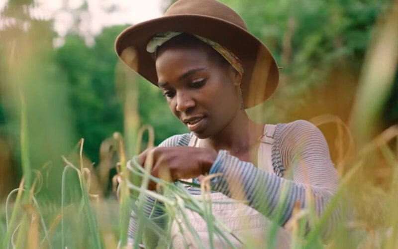 (Видео) Инспиративна приказна од Атланта – Урбаниот земјоделец од нашето соседство
