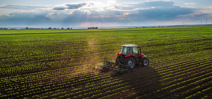 И покрај вооружениот конфликт, во Украина е засеано повеќе жито отколку минатата година