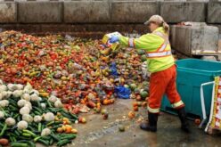 Состојбите со вишоците на храна во ЕУ и Република Северна Македонија