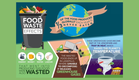 Ефекти од загубите и отпадот од храна врз животната средина