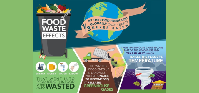 Ефекти од загубите и отпадот од храна врз животната средина